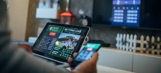 Understanding Geze Bet Your Guide to the Online Betting Phenomenon
